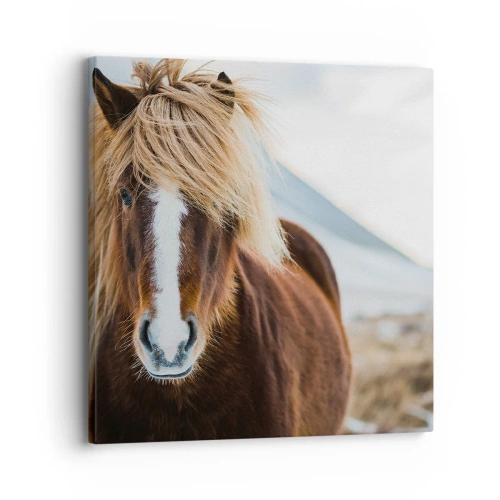 Quadro su tela - Stampe su Tela - Senti la libertà? - 30x30 cm