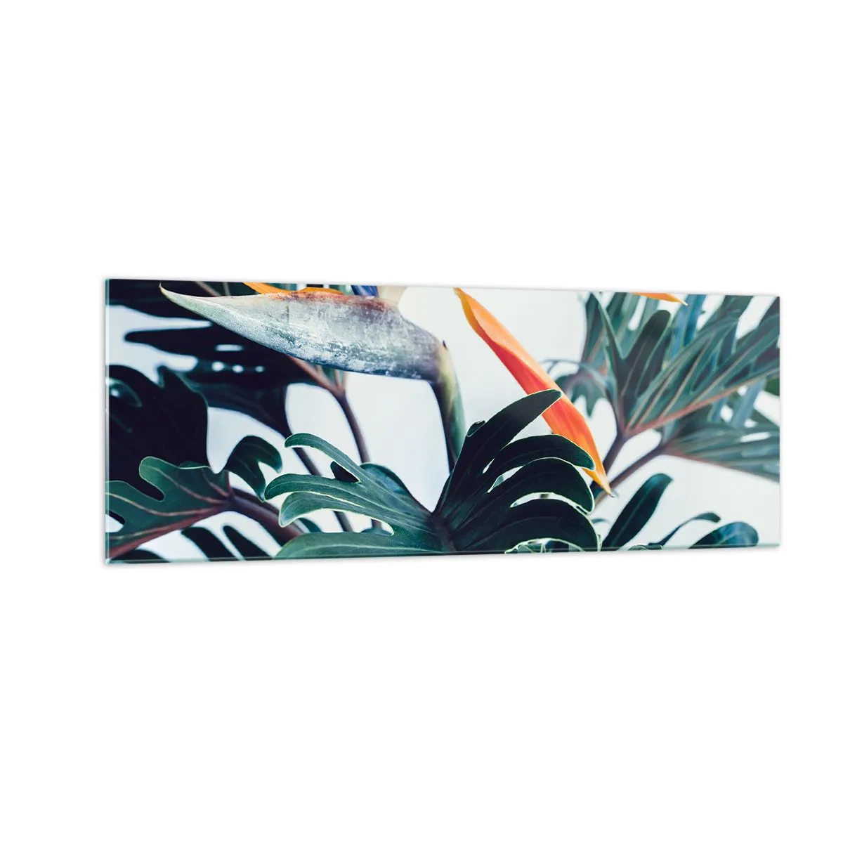 Quadro su vetro - Fiore di Strelitzia circondato da foglie in piena luce - 140x50cm - Pianta uccello - Decorazione murale moderna per soggiorno e camera da letto ARTTOR