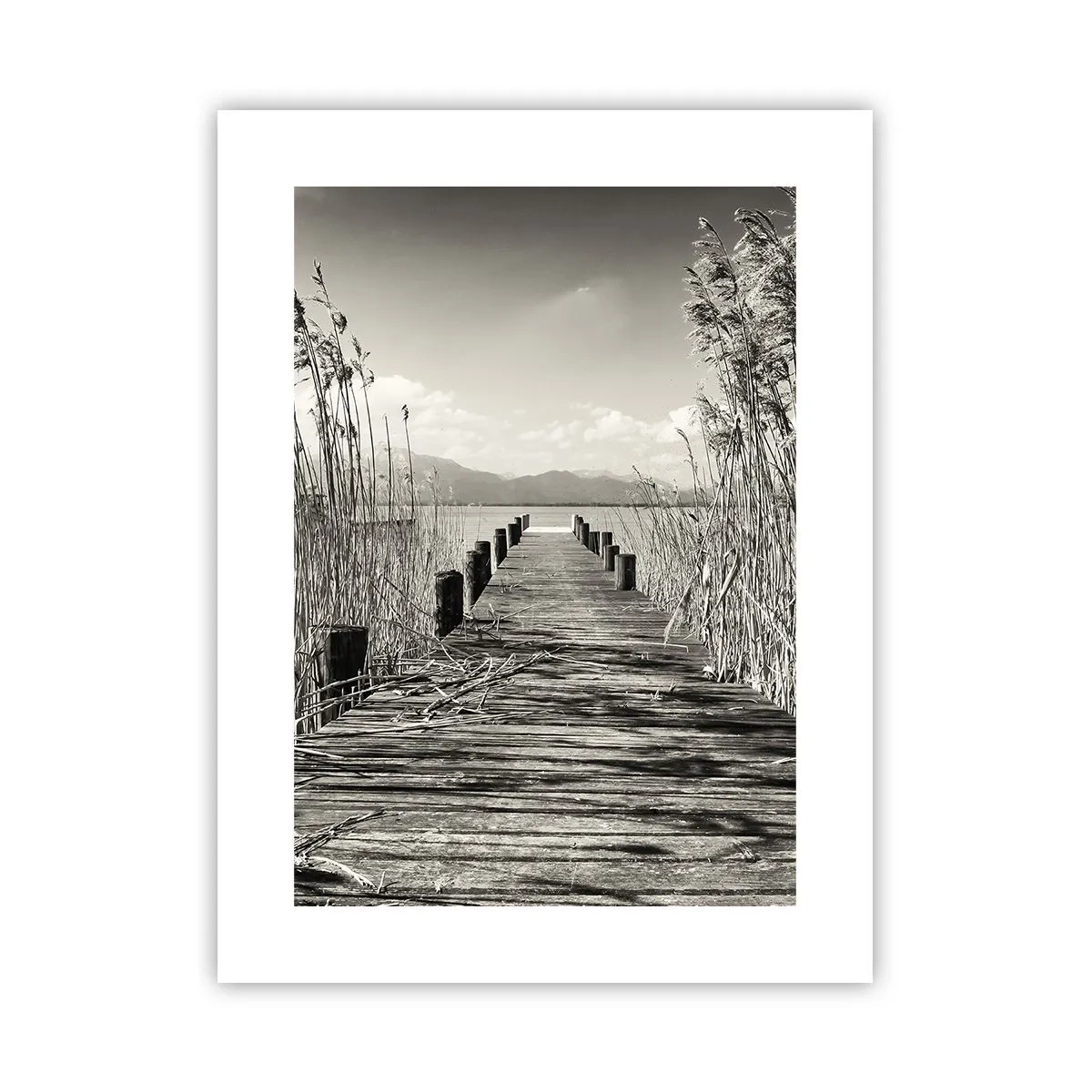 Poster - Nel silenzio dell'erba - 30x40 cm