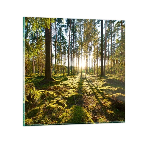 Quadro su vetro - …dopo sette foreste - 60x60 cm