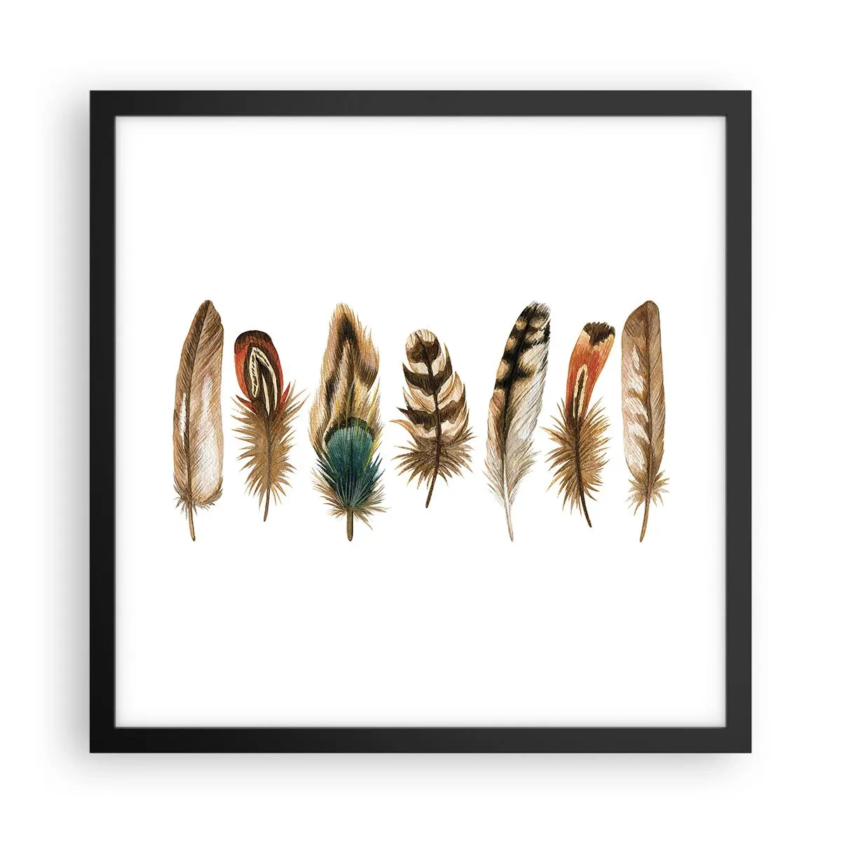 Poster in cornice nera - Composizione di piume - 40x40 cm
