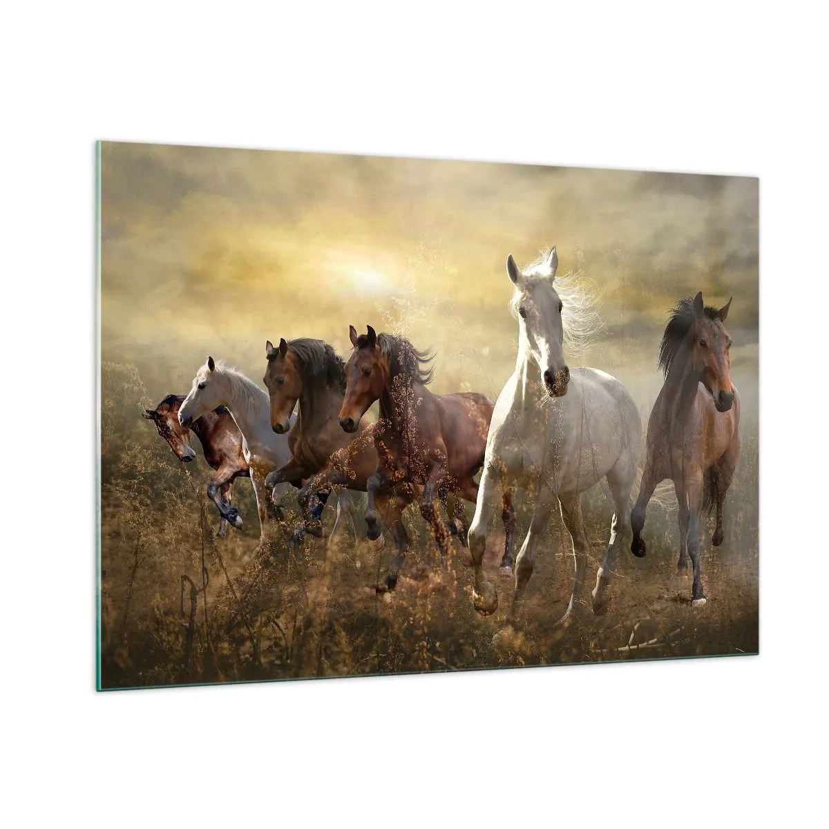 Quadro su vetro - Una mandria di cavalli al galoppo sotto i raggi del sole al tramonto - 100x70cm - Evviva la libertà! - Decorazione murale moderna per soggiorno e camera da letto ARTTOR