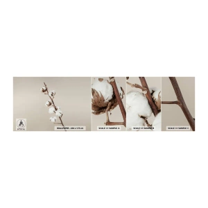 Campione di Fotomurale Adesivo Deluxe Sticker - Alla fonte della morbidezza - Fiore di cotone, Natura, cotone - 100x30 cm