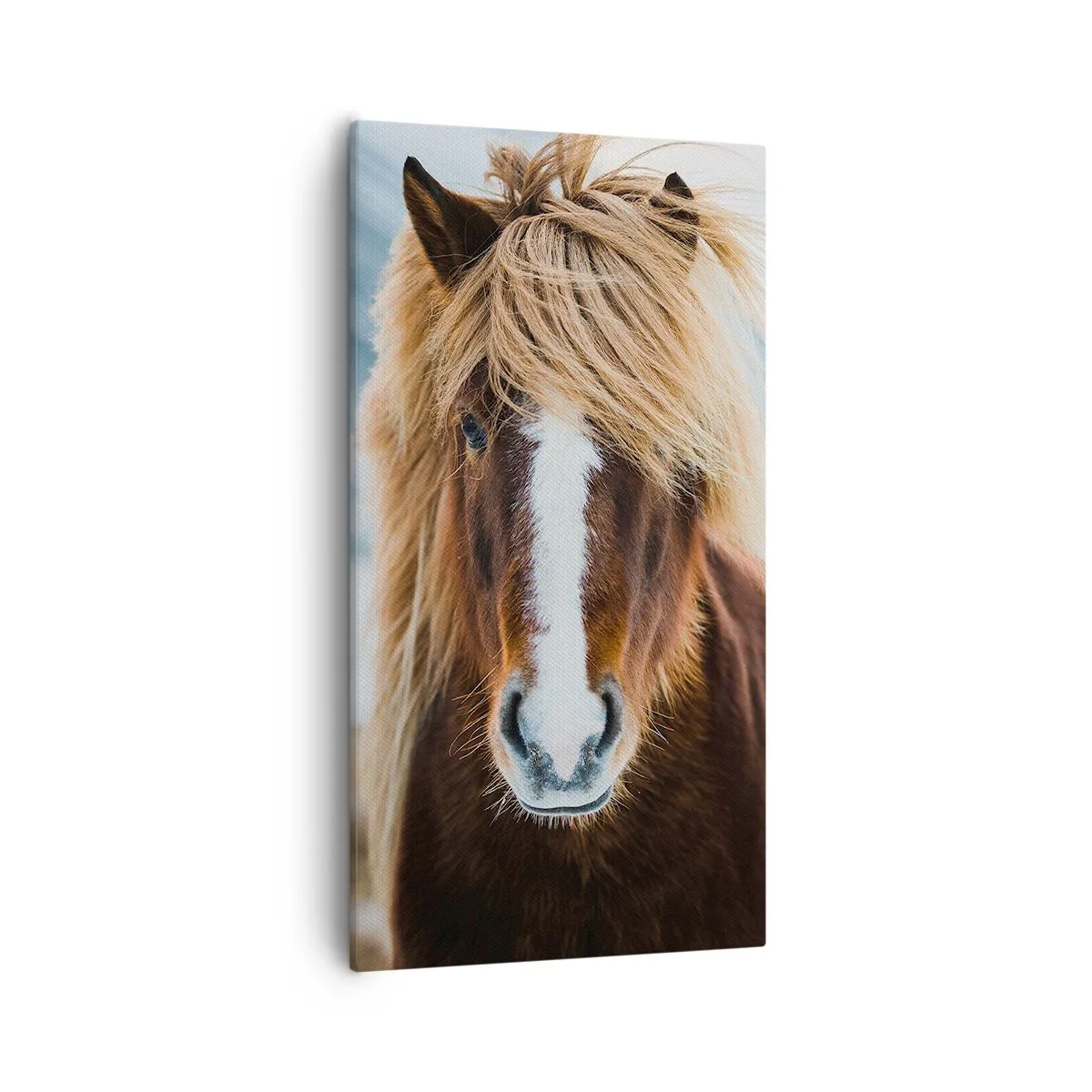 Quadro su tela - Stampe su Tela - Senti la libertà? - 55x100 cm