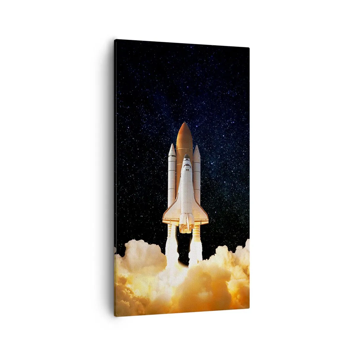 Quadro su tela - Stampe su Tela - Ad astra! - 55x100 cm