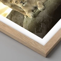 Rovere chiaro
