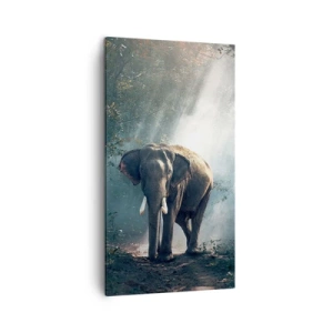 Quadro su tela - Stampe su Tela - Tranquilla passeggiata - 45x80 cm