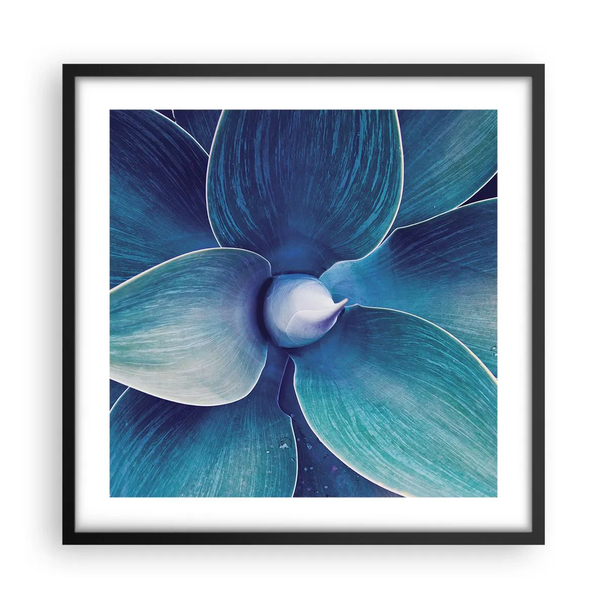 Poster in cornice nera - Imbluito dal sole - 50x50 cm
