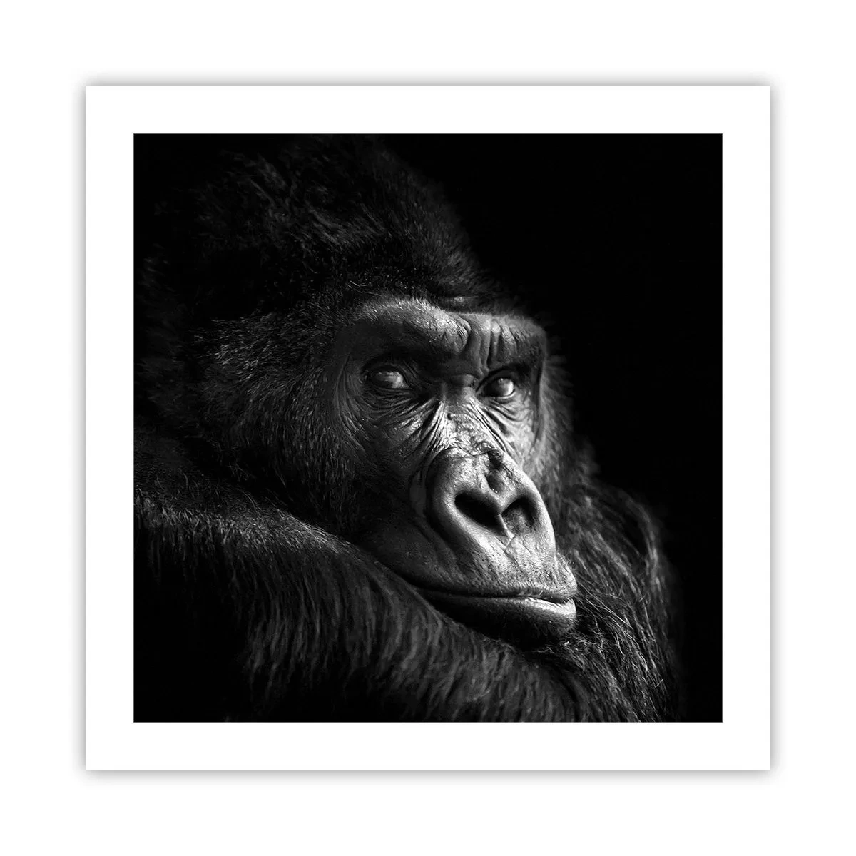 Poster - E cosa guardi? - 50x50 cm