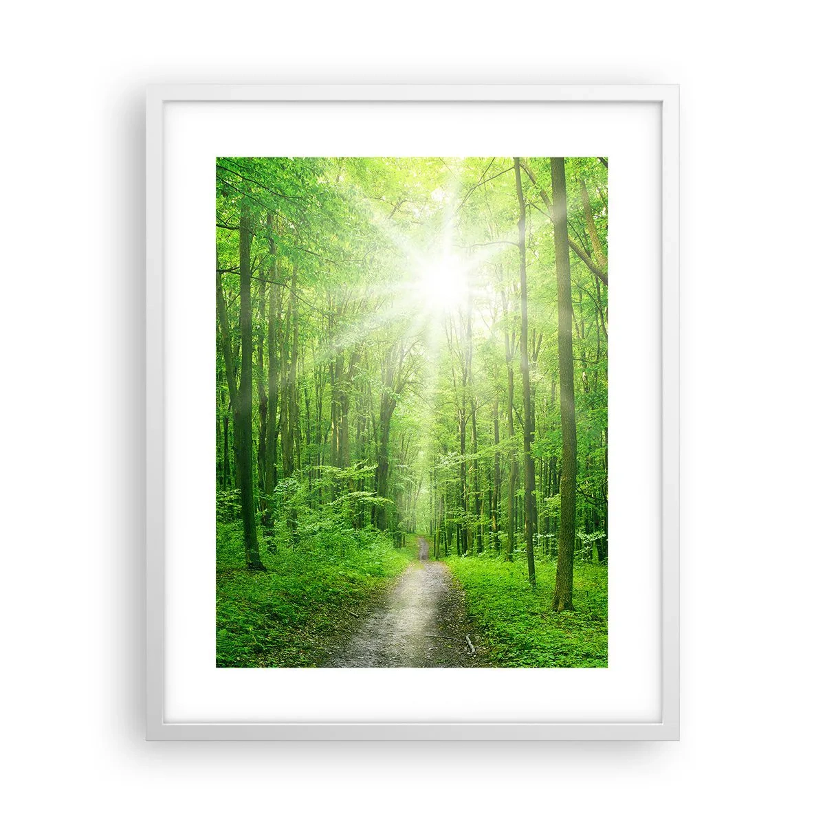 Poster in cornice bianca - Cattedrale verde - 40x50 cm