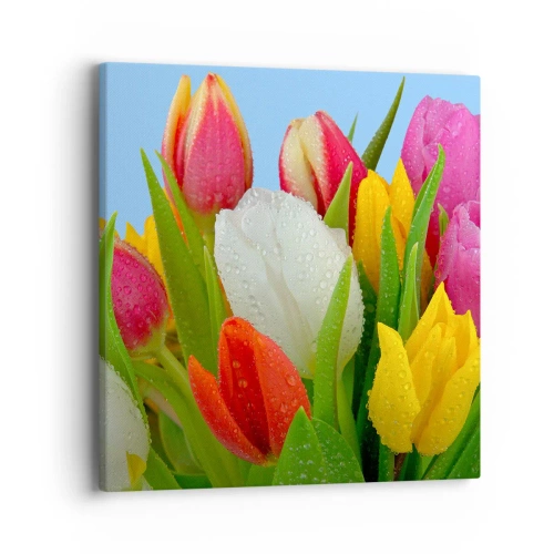 Quadro su tela - Stampe su Tela - Fiori multicolori nella rugiada - 40x40 cm