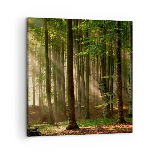 Quadro su tela - Stampe su Tela - Raggiante in un mattino di primavera - 50x50 cm