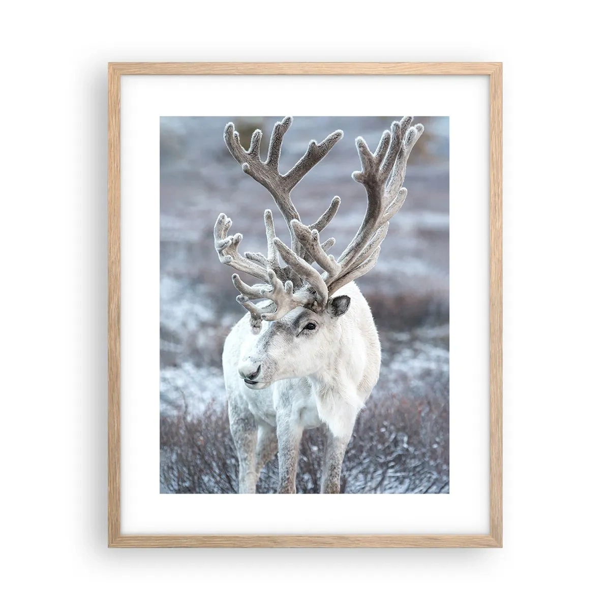 Poster in cornice rovere chiaro - Ritratto al sole - 40x50 cm