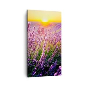 Quadro su tela - Stampe su Tela - Campo profumato - 45x80 cm
