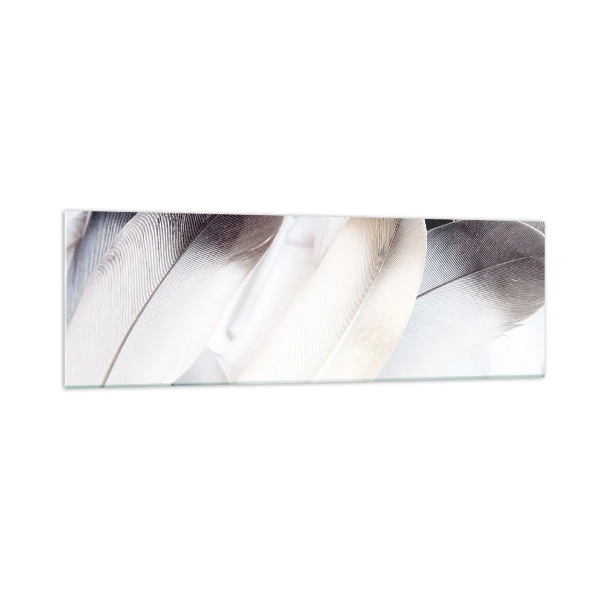 Quadro su vetro - Primo piano di piume delicate nelle tonalità del bianco e del grigio - 160x50cm - Quasi angeliche - Decorazione murale moderna per soggiorno e camera da letto ARTTOR