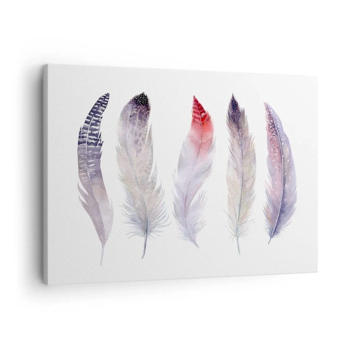 Quadro su tela - Stampe su Tela - Cinque delicate piume in tonalità pastello su uno sfondo chiaro - 70x50cm - Delicate come una nebbia multicolore - Decorazione murale moderna per soggiorno e camera da letto ARTTOR