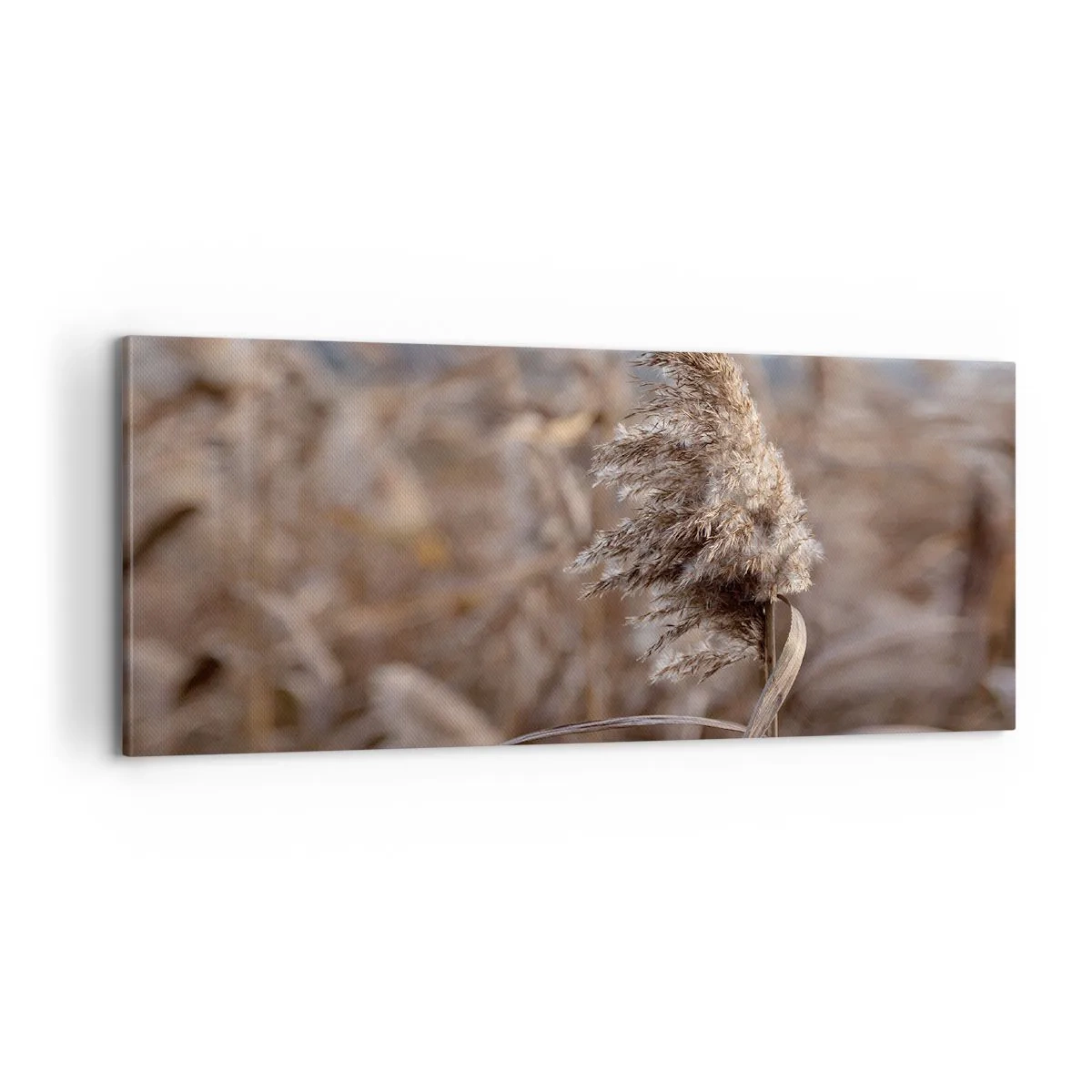 Quadro su tela - Stampe su Tela - è tempo di volare col vento - 100x40 cm