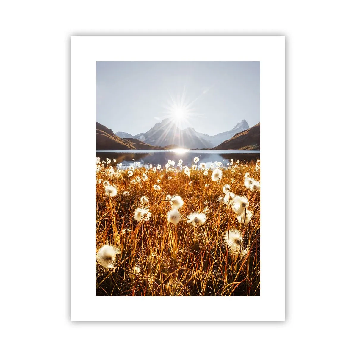 Poster - Durezza delle pietre, morbidezza dell'erba - 30x40 cm