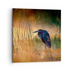 Quadro su tela - Stampe su Tela - Basta con queste foto - 70x70 cm