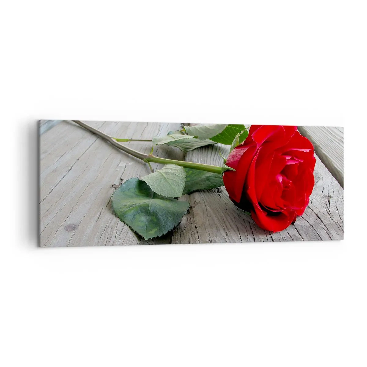 Quadro su tela - Stampe su Tela - Rosa rossa su uno sfondo di legno - 140x50cm - Studio in scarlatto - Decorazione murale moderna per soggiorno e camera da letto ARTTOR