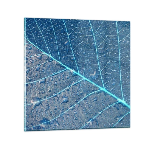Quadro su vetro - Vita nel blu - 30x30 cm