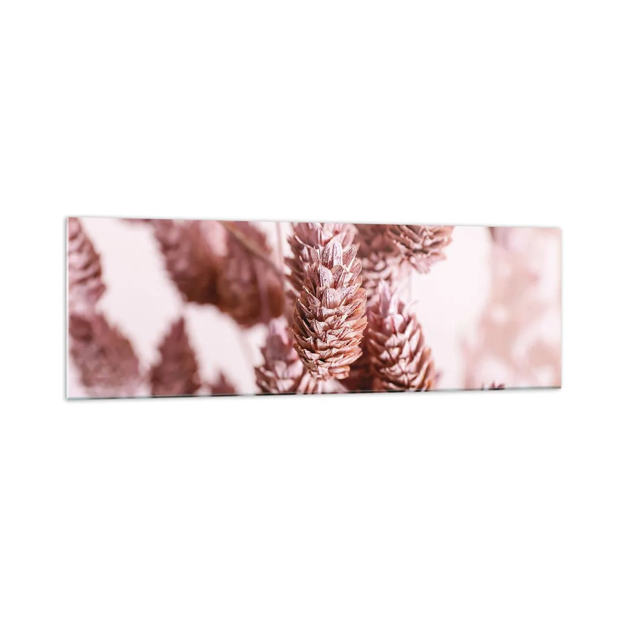 Quadro su vetro - Un primo piano delle delicate spighe rosa delle erbe ornamentali - 160x50cm - A prima vista poco appariscenti - Decorazione murale moderna per soggiorno e camera da letto ARTTOR