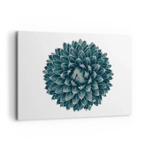 Quadro su tela - Stampe su Tela - Pianta succulenta simmetrica su sfondo bianco - 100x70cm - La stella del deserto - Decorazione murale moderna per soggiorno e camera da letto ARTTOR