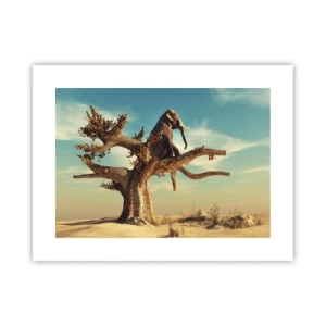 Poster - Nuovo punto di vista - 40x30 cm