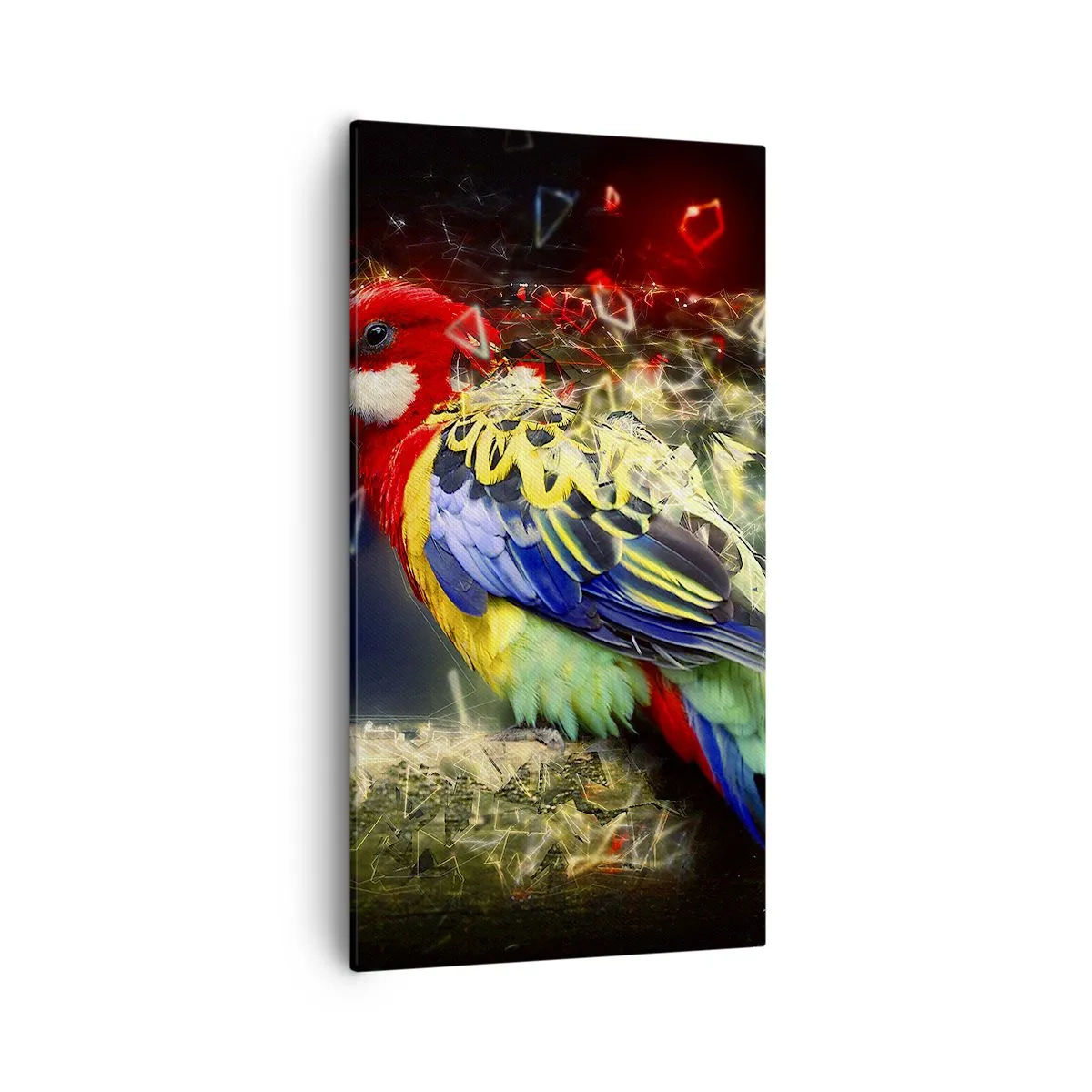 Quadro su tela - Stampe su Tela - Messaggero di luce - 55x100 cm