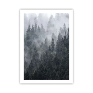 Poster - Una foresta nebbiosa con alti alberi di conifere - 50x70cm - Alba nel bosco - Decorazione murale moderna per soggiorno e camera da letto ARTTOR