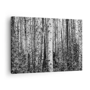 Quadro su tela - Stampe su Tela - Betulle bianche e nere nella foresta - 70x50cm - Colonnato di betulle - Decorazione murale moderna per soggiorno e camera da letto ARTTOR