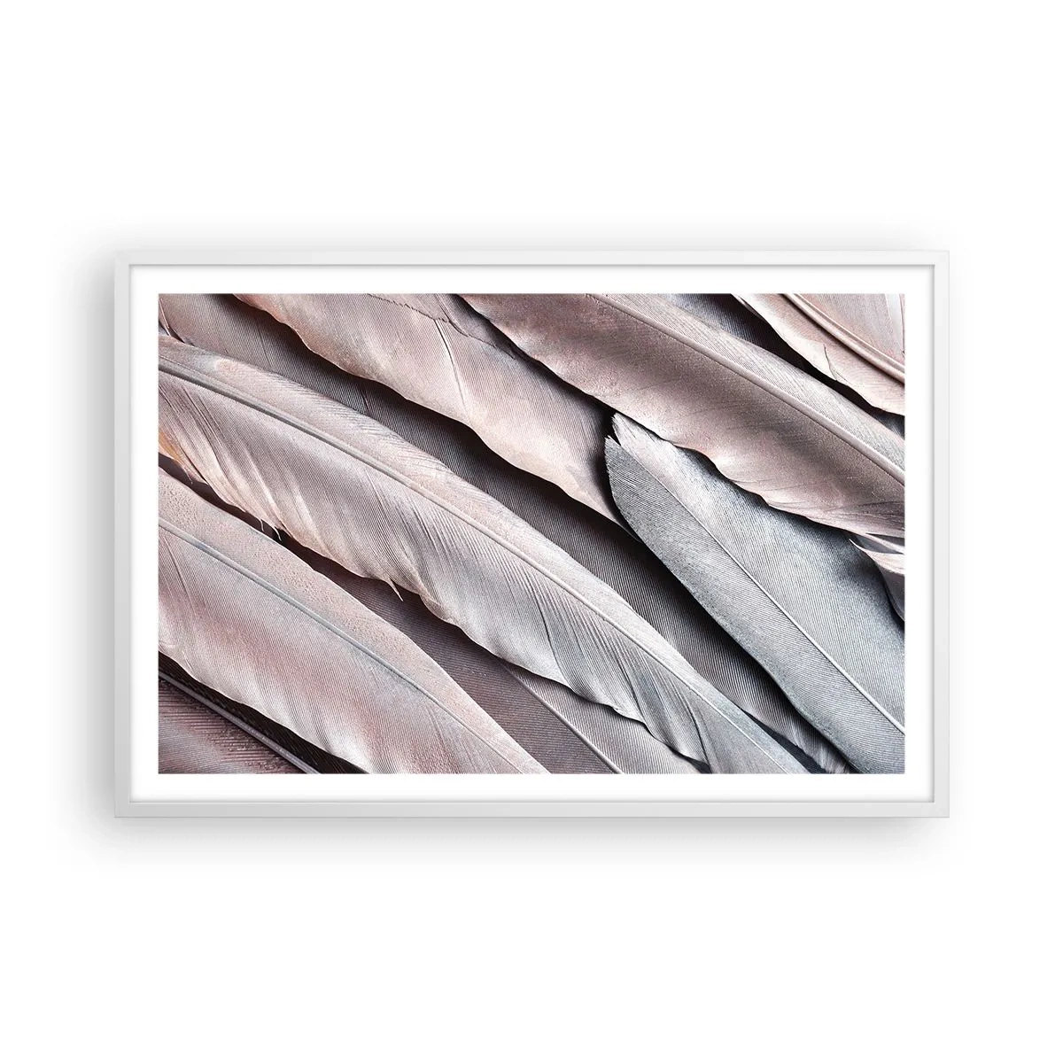 Poster in cornice bianca - Argento rosato - 91x61 cm