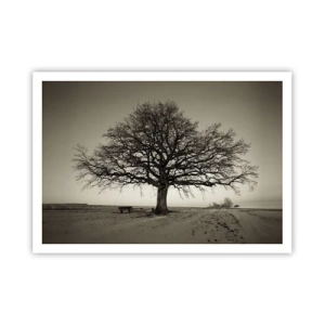 Poster - Un albero solitario in un campo color seppia - 100x70cm - Da qui all'eternità - Decorazione murale moderna per soggiorno e camera da letto ARTTOR