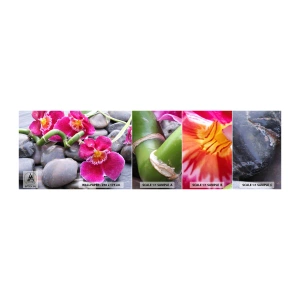Campione di Fotomurale Adesivo Deluxe Sticker - Fresco e calore - Fiori, Pietre, Orchidea - 100x30 cm
