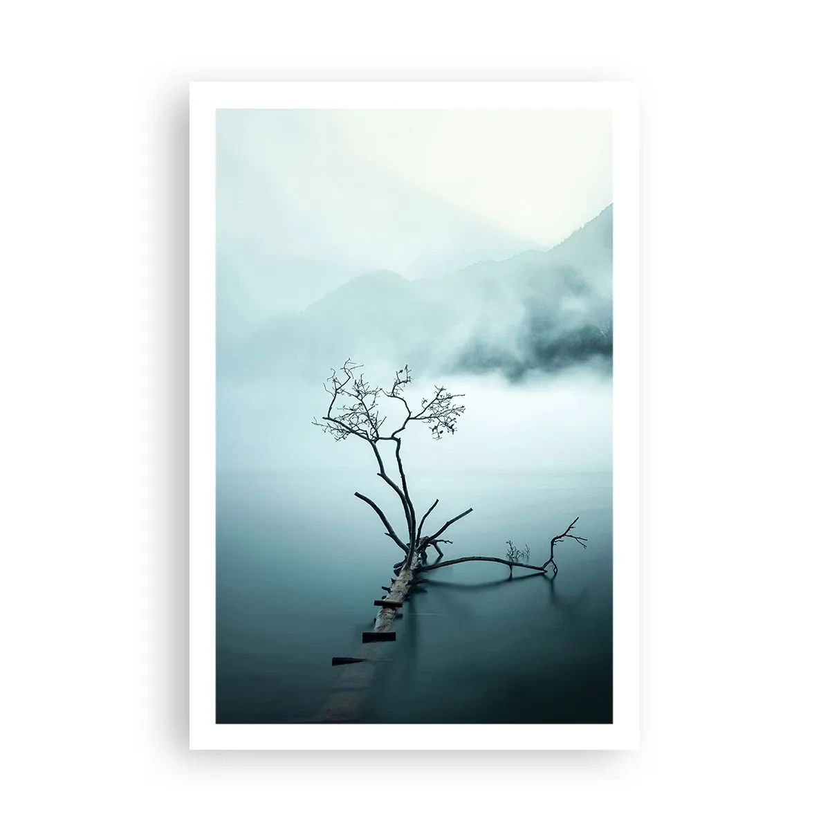 Poster - Dall'acqua e dalla nebbia - 61x91 cm