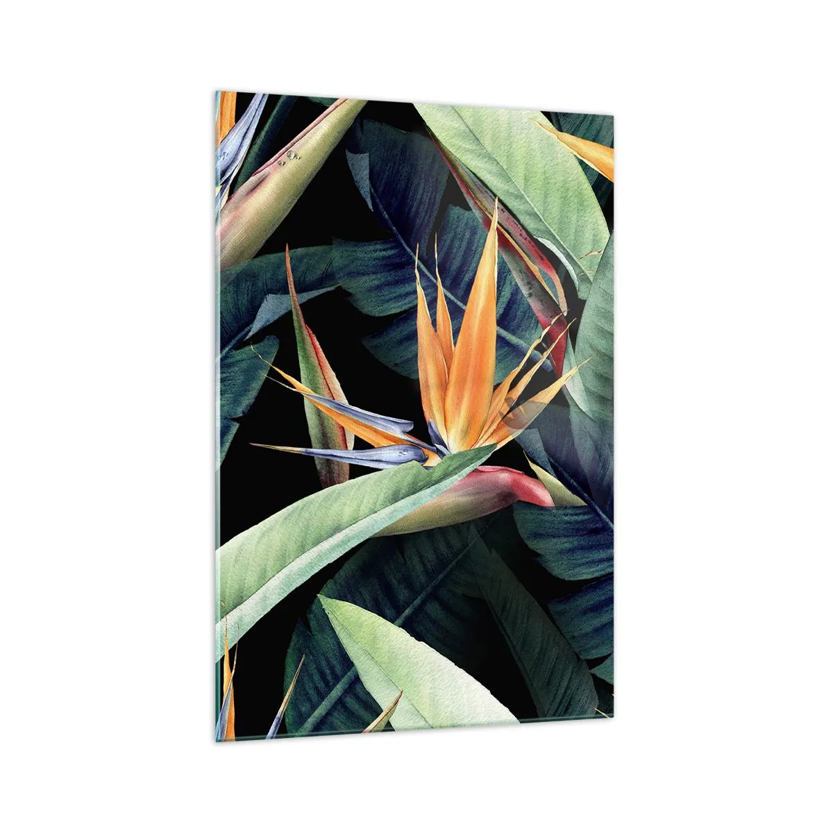 Quadro su vetro - Fiori e foglie tropicali su sfondo nero - 70x100cm - I fiori fiammeggianti dei tropici - Decorazione murale moderna per soggiorno e camera da letto ARTTOR