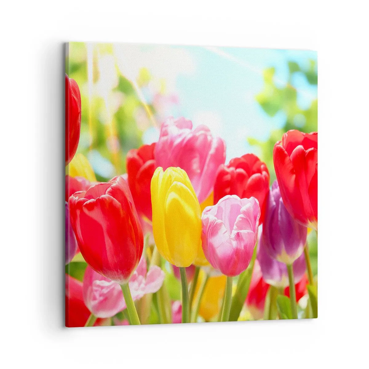 Quadro su tela - Stampe su Tela - Eccoci, i colori di maggio! - 50x50 cm