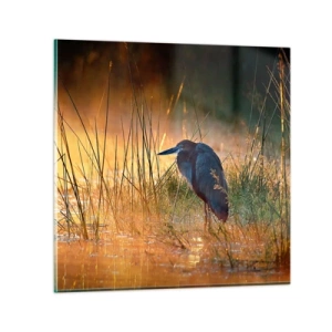 Quadro su vetro - Basta con queste foto - 30x30 cm