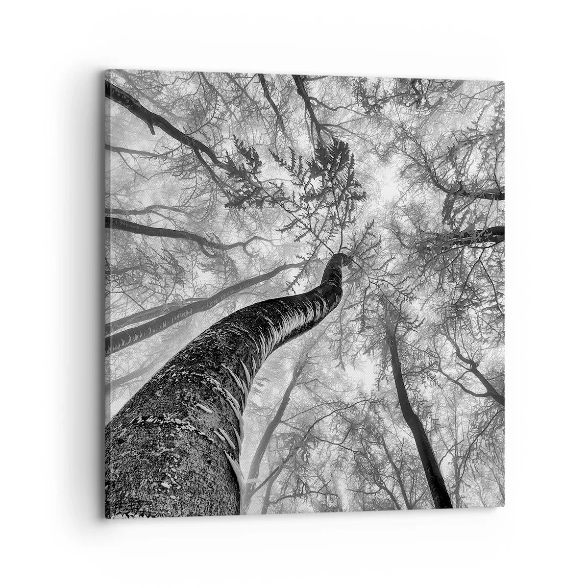 Quadro su tela - Stampe su Tela - La corsa verso la luce - 70x70 cm