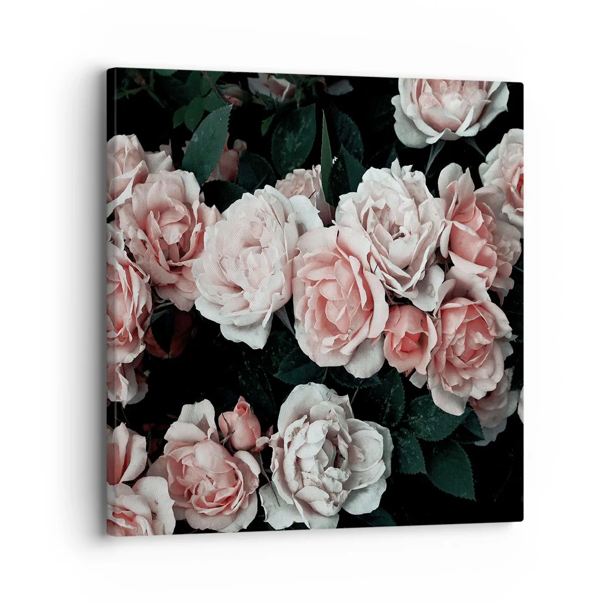 Quadro su tela - Stampe su Tela - Composizione di rose - 30x30 cm