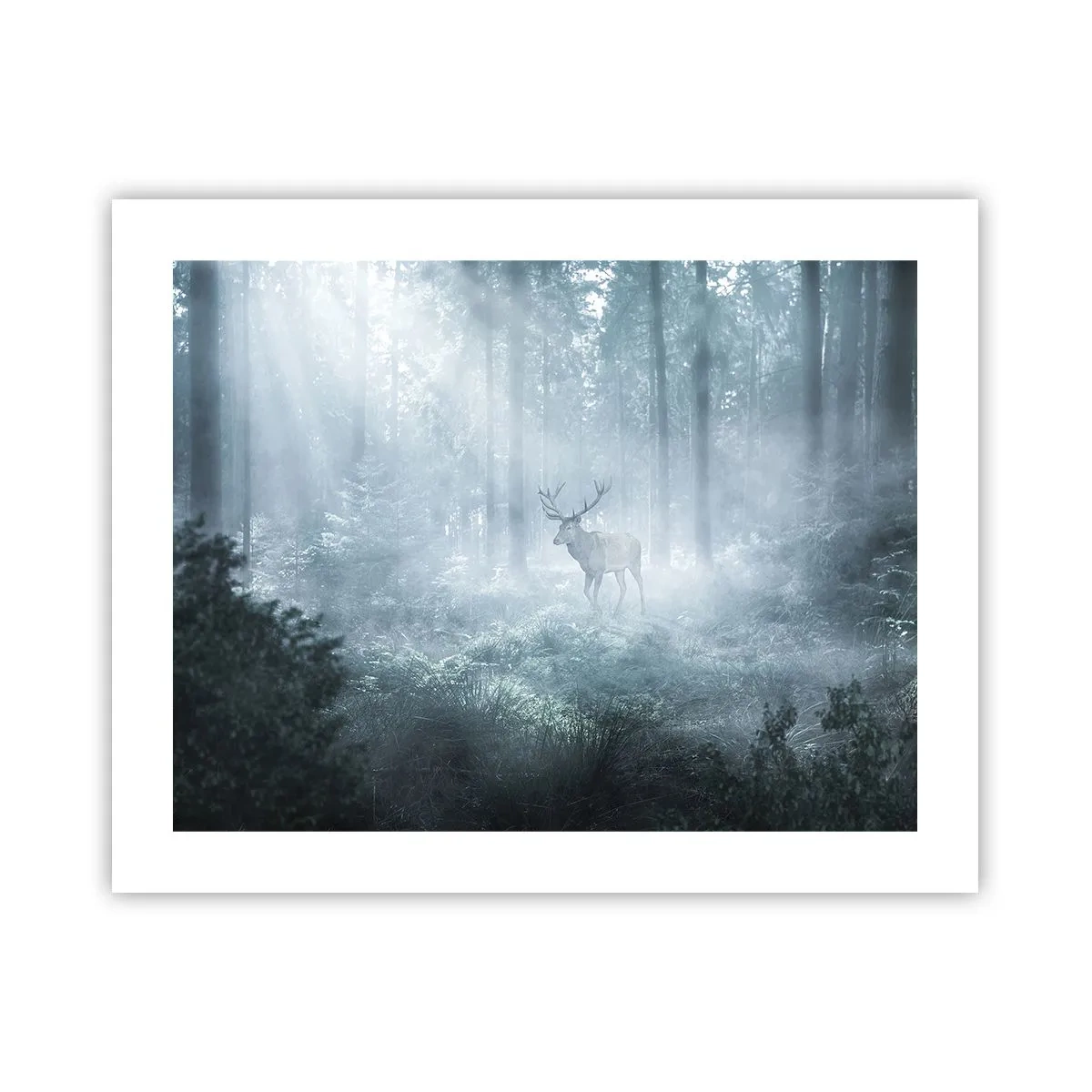 Poster - Passeggiata mattutina sulle sue terre - 50x40 cm