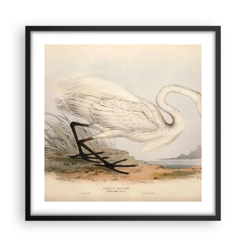 Poster in cornice nera - La signora nel canneto - 50x50 cm