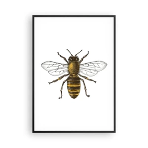 Poster in cornice nera - Bella e buona - 70x100 cm