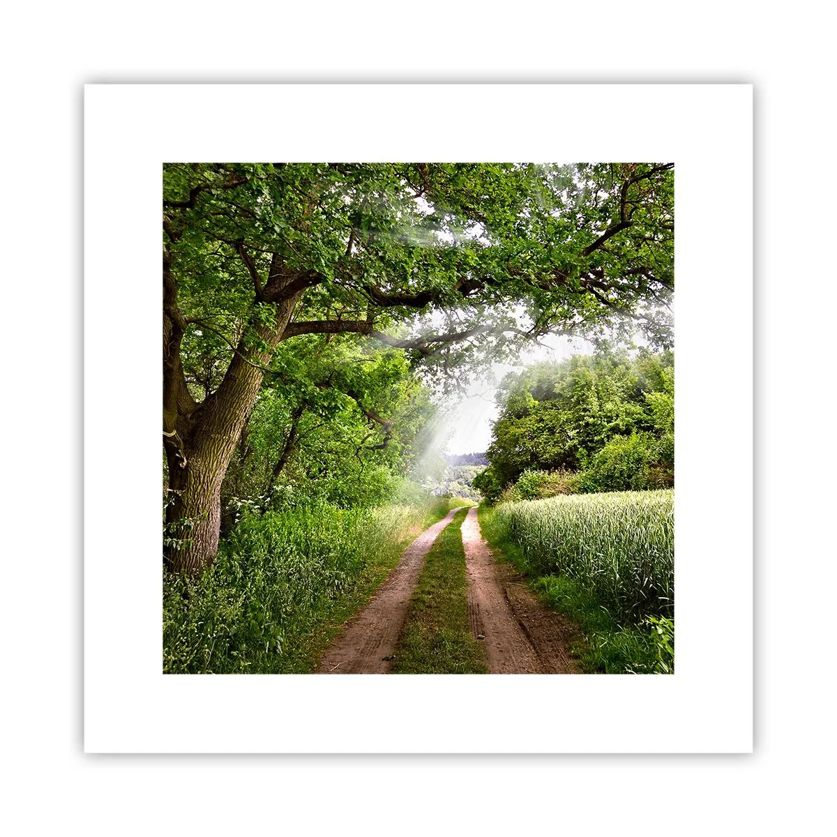 Poster - Et in Arcadia ego - 30x30 cm