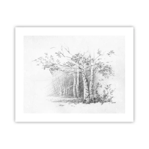 Poster - La luce della foresta di betulle - 50x40 cm