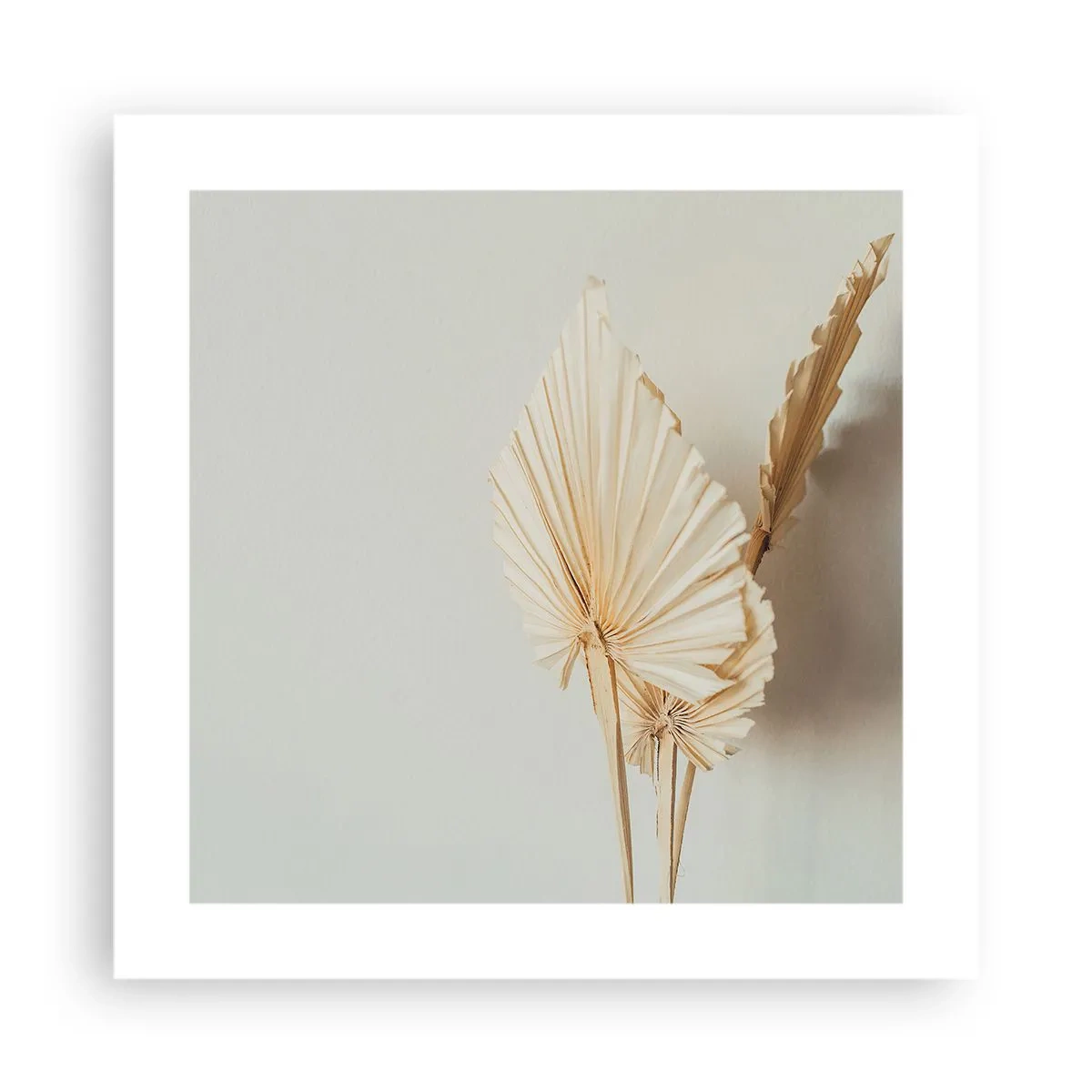 Poster - Quando serve il sollievo - 40x40 cm