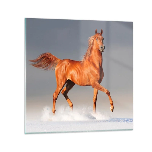 Quadro su vetro - Grazia danzante - 40x40 cm