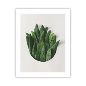 Poster - Curiosità irrefrenabile - 40x50 cm