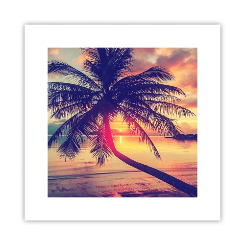 Poster - Sera sotto le palme - 30x30 cm