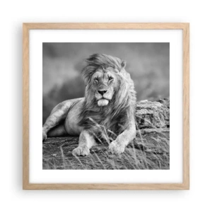 Poster in cornice rovere chiaro - La siesta del re - 40x40 cm